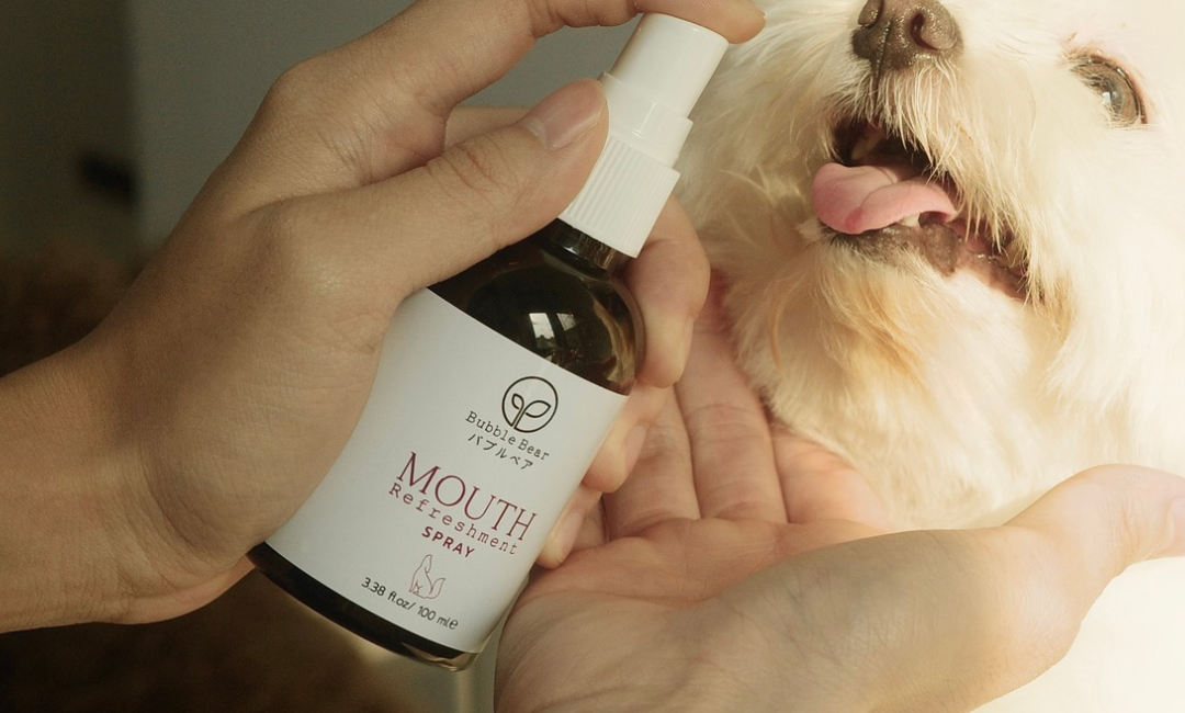 Mouth Refreshment - Image 3